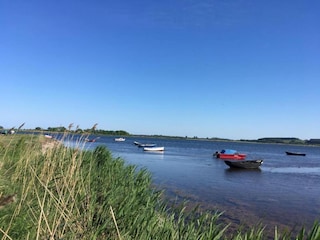 Bungalow Alt Reddevitz Environment 22