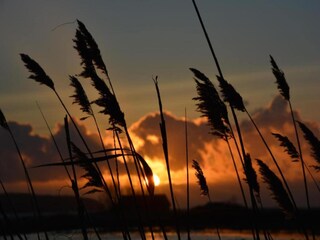 Bungalow Middelhagen Ambiente 33