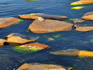 Bungalow Middelhagen Ambiente 32