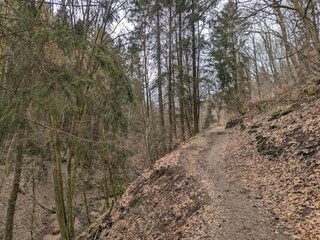 Appartement Winterberg Omgeving 24