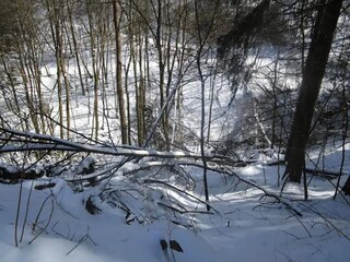 Appartement Winterberg Omgeving 37