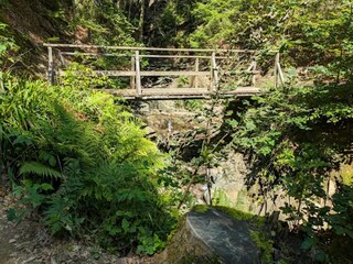 Apartment Winterberg Environment 26