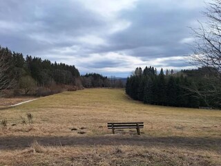 Appartement Winterberg Omgeving 30