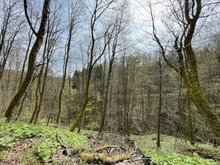 Appartement Winterberg Omgeving 33