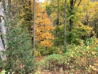 Appartement Winterberg Omgeving 23