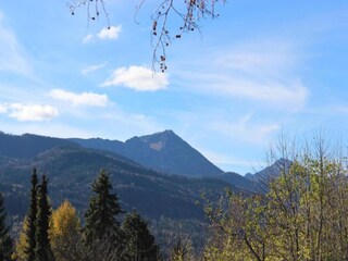 Appartement Siegsdorf Omgeving 19