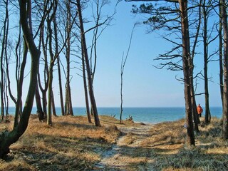 Appartement Wieck  13