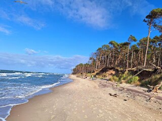 Apartamento Wieck  21