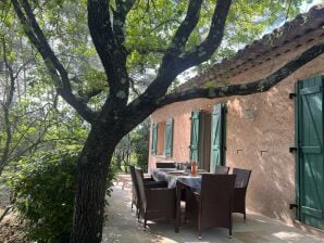 Holiday house Provençal villa with swimming pool and shaded park - Figanières - image1