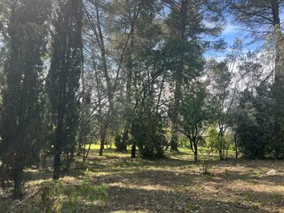 Holiday house Figanières Outdoor Recording 11