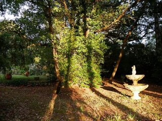 Vakantiehuis Figanières Buitenaudio-opname 5