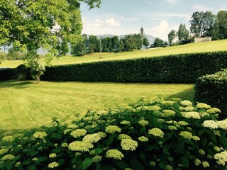 Appartamento per vacanze Attersee am Attersee Registrazione all'aperto 5