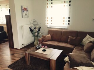 Appartamento per vacanze Attersee am Attersee Caratteristiche 7