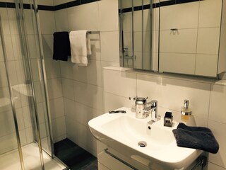 Appartamento per vacanze Attersee am Attersee Caratteristiche 13