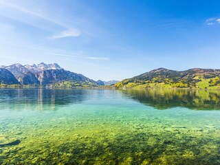 Holiday apartment Attersee am Attersee Environment 18