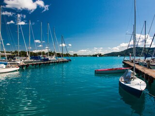 Appartamento per vacanze Attersee am Attersee Ambiente 19