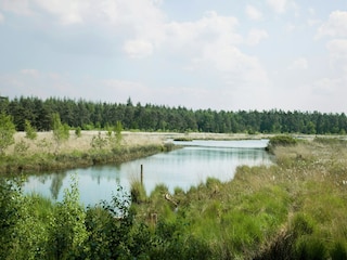 Parc de vacances Appelscha Environnement 12