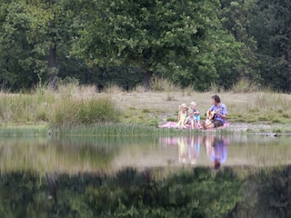 Parc de vacances Appelscha Environnement 16