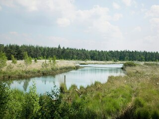 Ferienpark Appelscha Umgebung 15