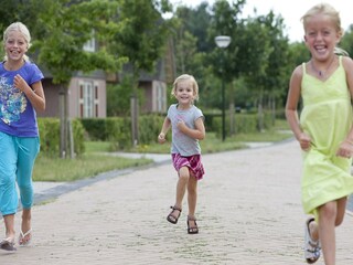 Vakantiepark Appelscha Omgeving 14