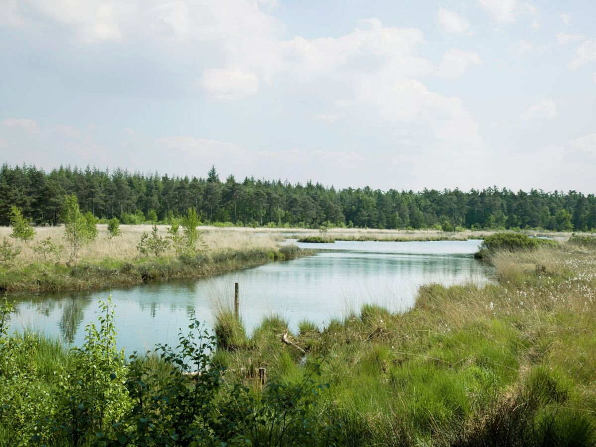 Ferienpark Appelscha Umgebung 12