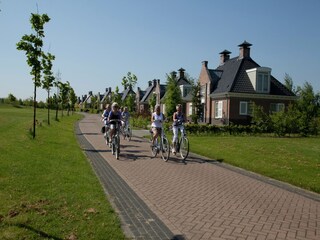 Vakantiepark Appelscha Omgeving 14