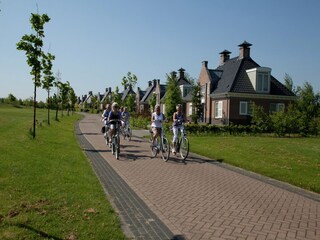 Vakantiepark Appelscha Omgeving 12