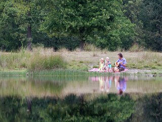 Vakantiepark Appelscha Omgeving 16