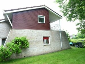 Ferienpark Gepfl. Ferienhaus mit Geschirrsp., nahe dem Emslandermeer - Vlagtwedde - image1