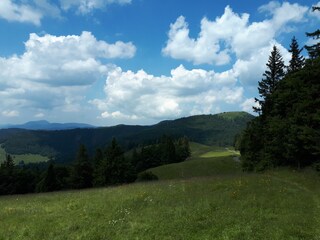 Blick auf das Herzogenhorn