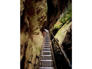 Ferienwohnung Mittelndorf Umgebung 17