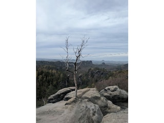 Ferienwohnung Mittelndorf Umgebung 19