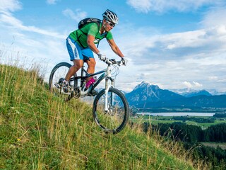 Biken von der Alpe Beichelstein
