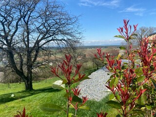 Vakantiehuis Stegersbach Buitenaudio-opname 9