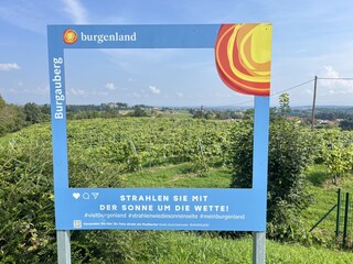 Casa per le vacanze Stegersbach Ambiente 35