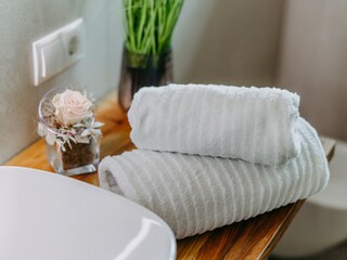 Casa per le vacanze Stegersbach Caratteristiche 22