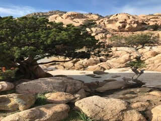 Apartamento Pittulongu Entorno 26