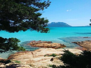 Appartement Cala Liberotto Omgeving 29