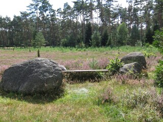 Zauberhafter Heidegarten in Neuenkirchen