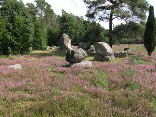 Blick in die weite Heidelandschaft