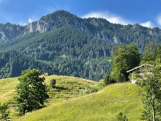 Blick auf den Laber