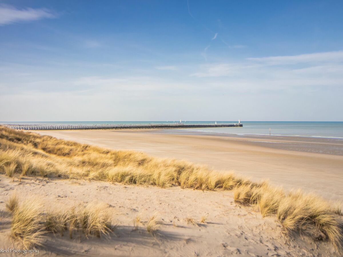 Apartment Nieuwpoort Umgebung 14