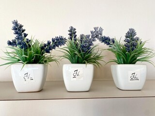 Appartement Nieuwpoort  40