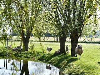 Appartamento Nieuwpoort Ambiente 39