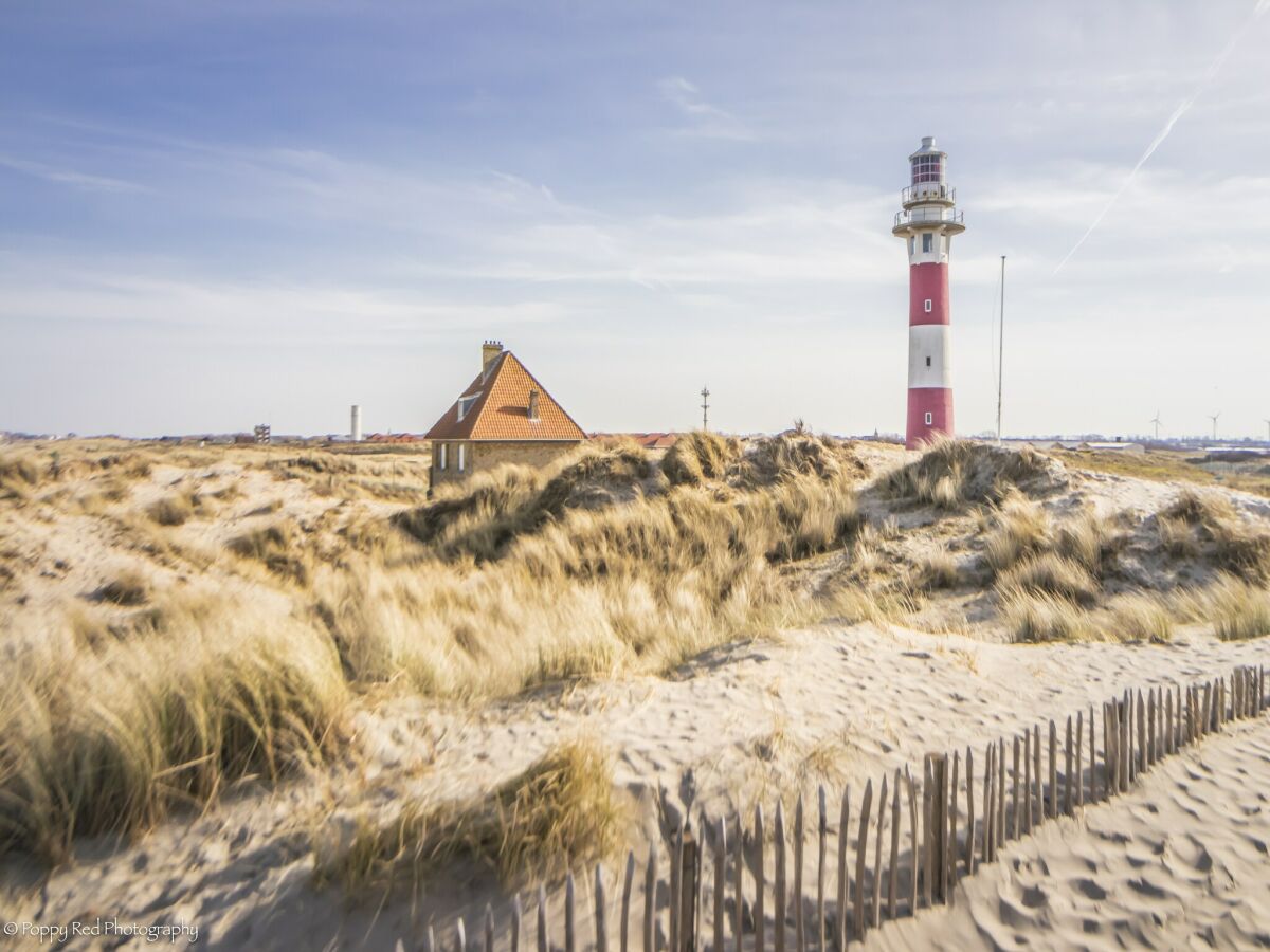 Apartment Nieuwpoort Umgebung 34