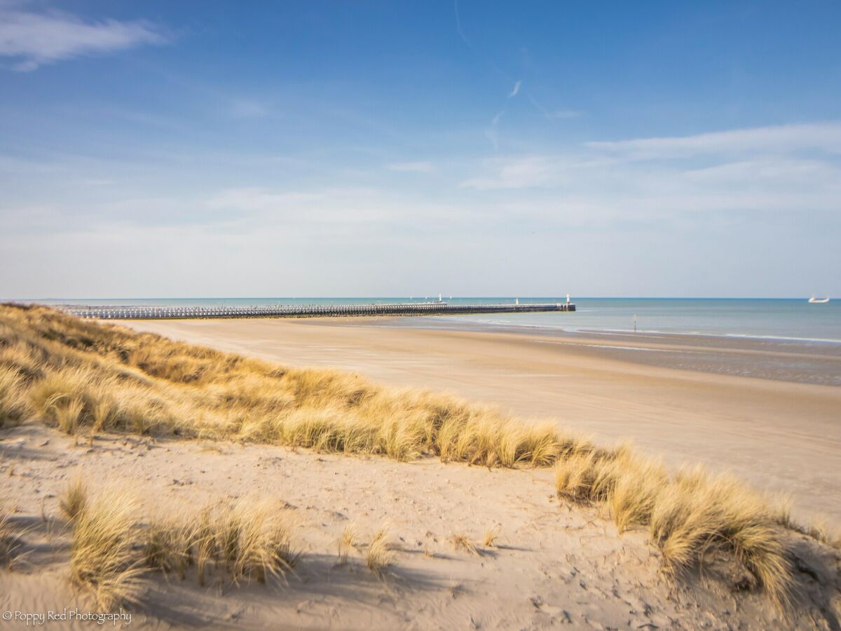 Apartment Nieuwpoort Umgebung 35