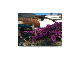 Appartement Šipanska Luka Buitenaudio-opname 1