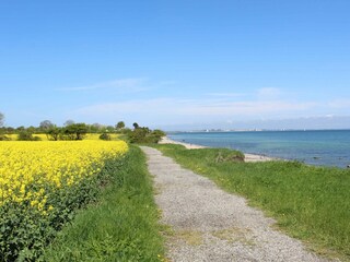 Spazierweg nach Ostermade bei Rapsblüte
