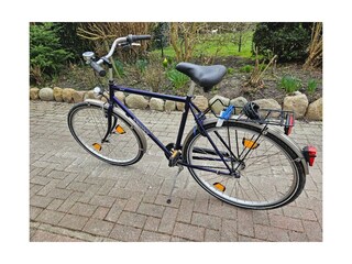 Ferienwohnung Büsumer Deichhausen Außenaufnahme 14