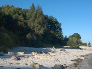 Natur pur an der Steilküste....